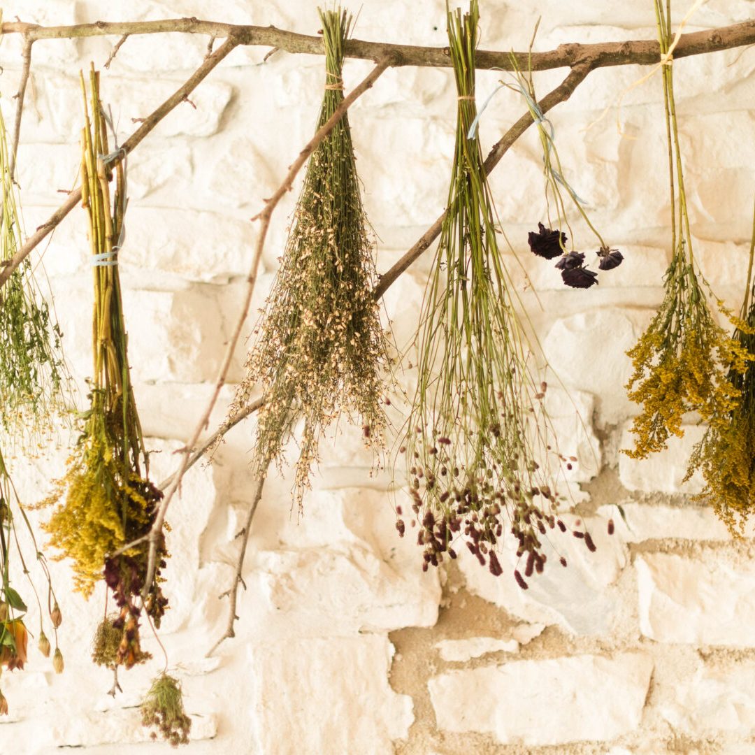 almajano-sesion-fotos-irun 001